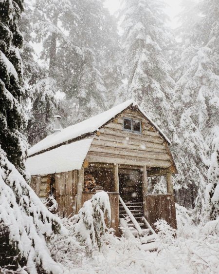 Домик лесника