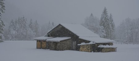 Хижина в зимнем лесу