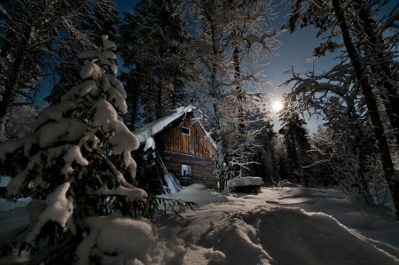 Домик в ночном зимнем лесу
