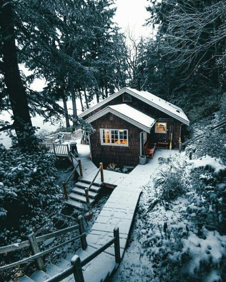 Современная лесная хижина норвегия