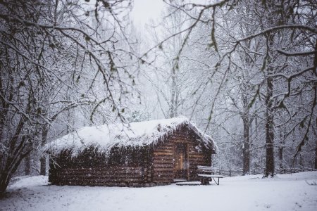 Охотничий домик в снежном лесу