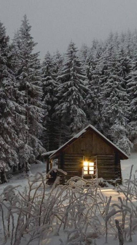 Домик зимой в лесу