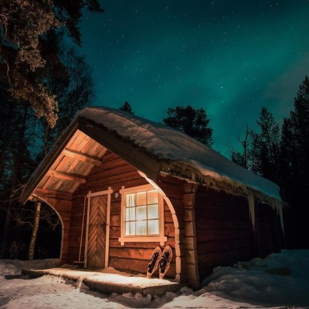 Домик в лесу ночью