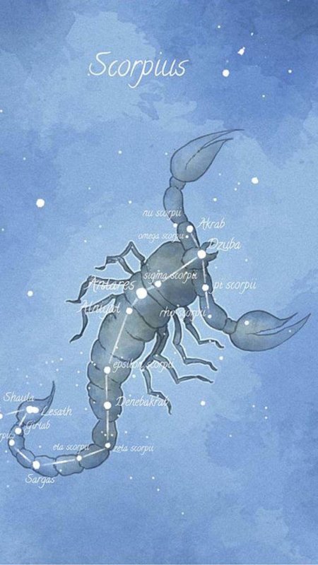 Созвездие скорпион