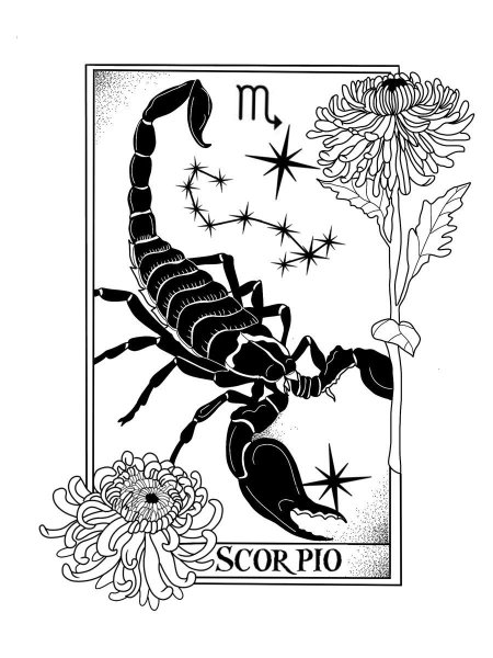 Скорпион тату эскиз