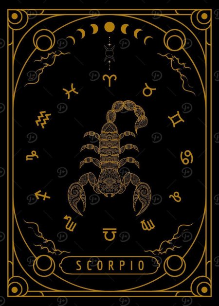 Красивый скорпион