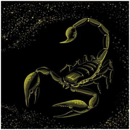 Знак зодиака скорпион