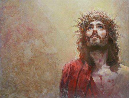 Терновый венец иисуса