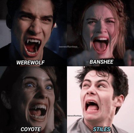 Волчонок стайлз оборотень