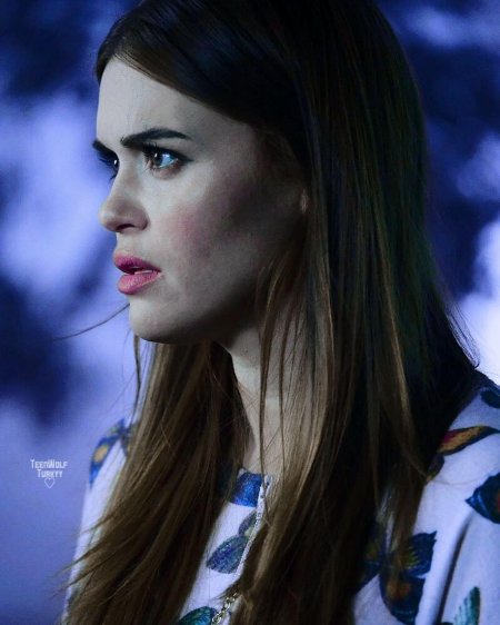 Холлэнд роден волчонок