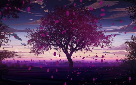 Сакура дерево