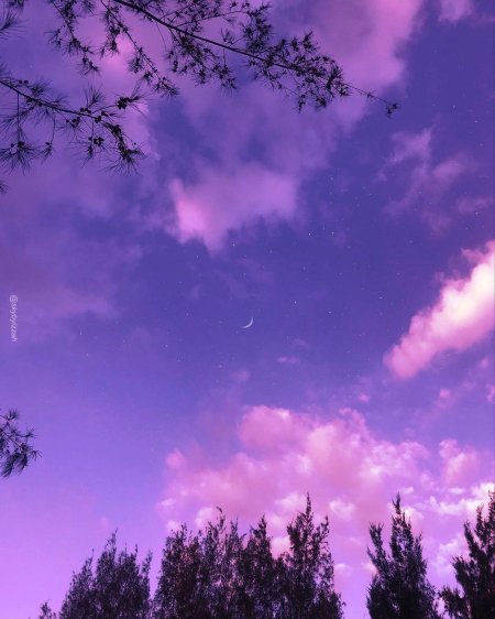 Эстетика сиреневого цвета