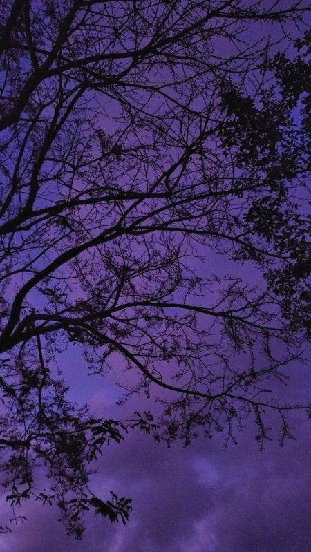 Эстетика фиолетового цвета