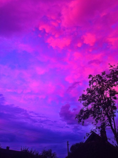 Фиолетовая природа