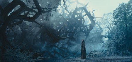 Малефисента темный лес