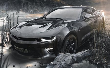 Chevrolet camaro black