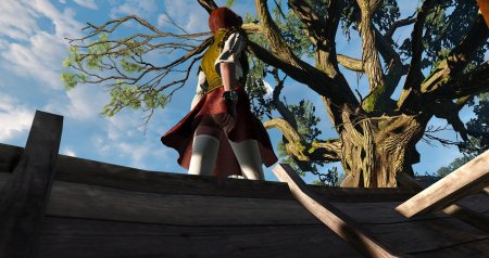 Шани ведьмак