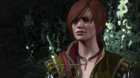 Ведьмак 3 шани