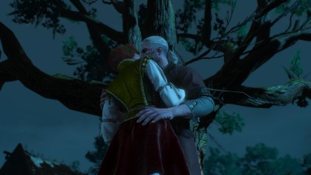 Шани ведьмак 3 каменные сердца