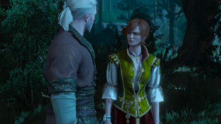 Ведьмак 3 шани