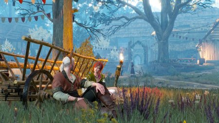 Броновицы ведьмак