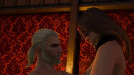 Ведьмак 3 бордели