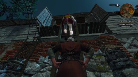 Ведьмак 3 шани трусики