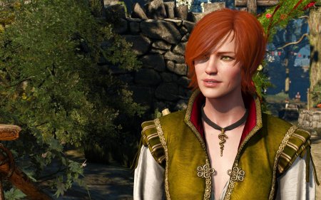 Шани ведьмак 3