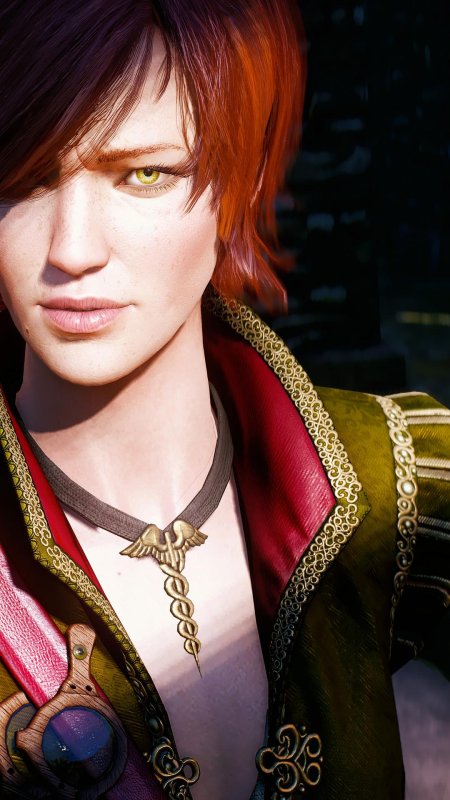 Ведьмак шани