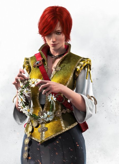 Ведьмак 3 шани