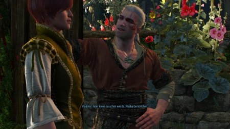 Шани ведьмак 3 каменные сердца