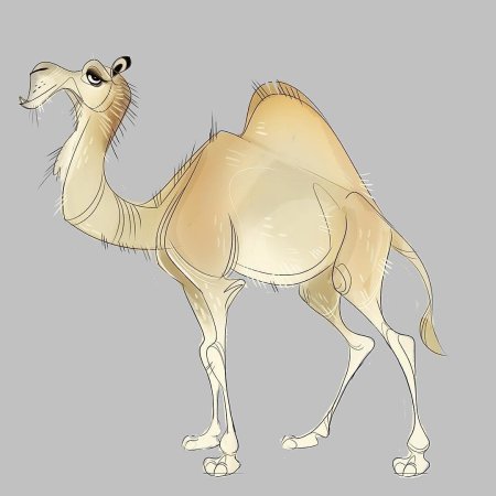 Рисунки верблюда