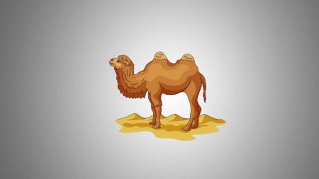 Дети двугорбого верблюда