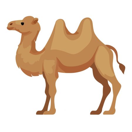 Верблюд на белом фоне