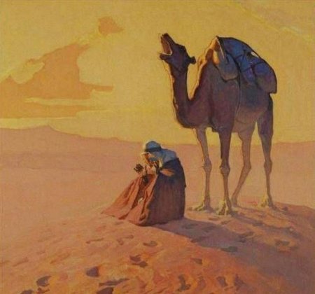 Верблюд в пустыне