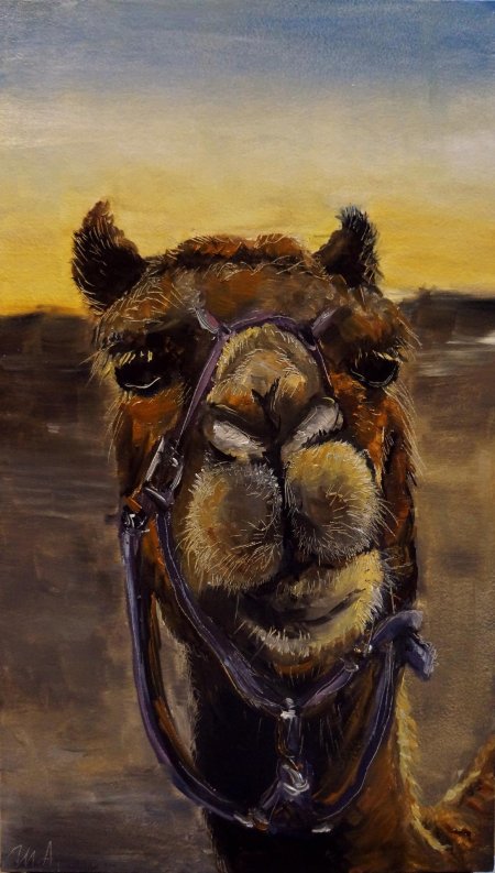 Верблюд живопись