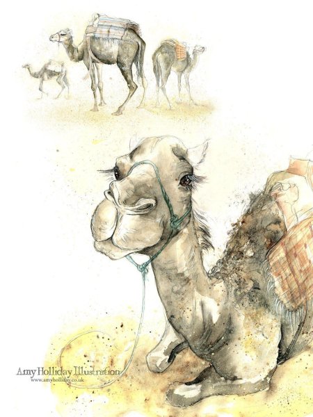 Верблюжонок рисунок