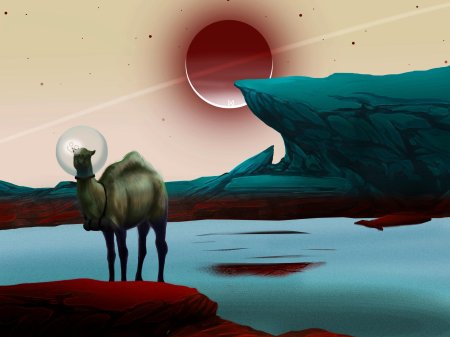 Пустыня верблюд