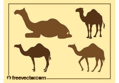Векторное изображение верблюда