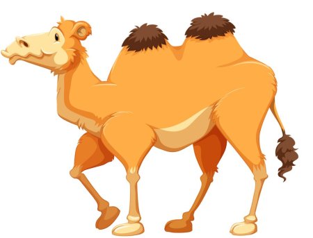 Верблюд для детей
