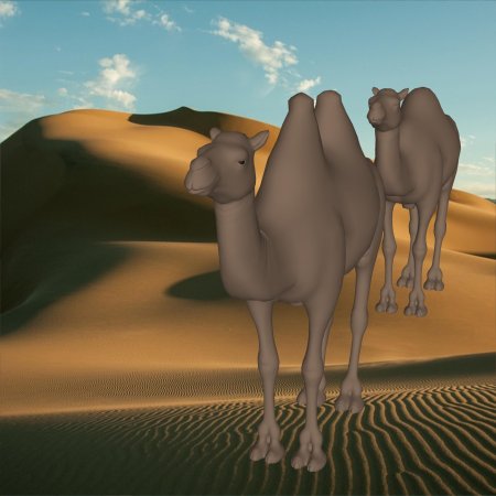 Лара верблюда