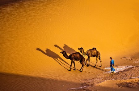 Поленов караван в аравийской пустыне