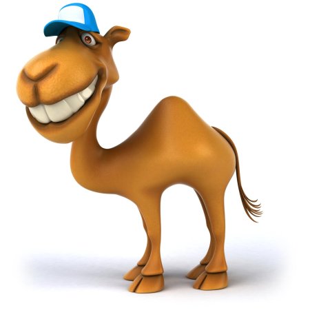Смешной верблюд