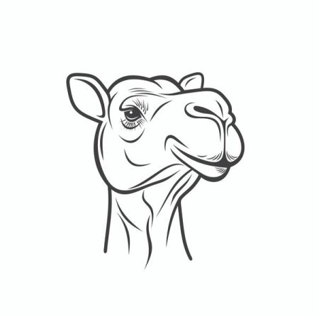 Верблюд голова