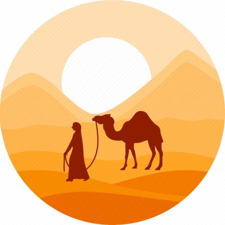 Пустыня верблюд