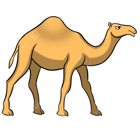 Одногорбый верблюд на белом фоне