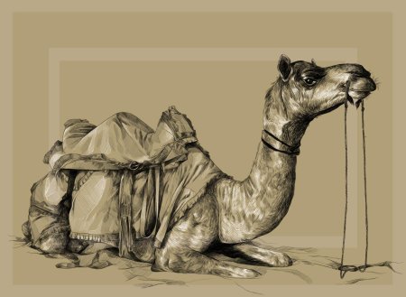Верблюд пророка