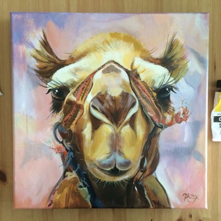 Морда верблюда