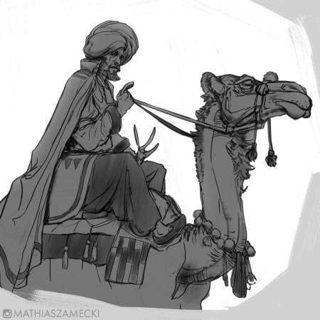 На верблюдах