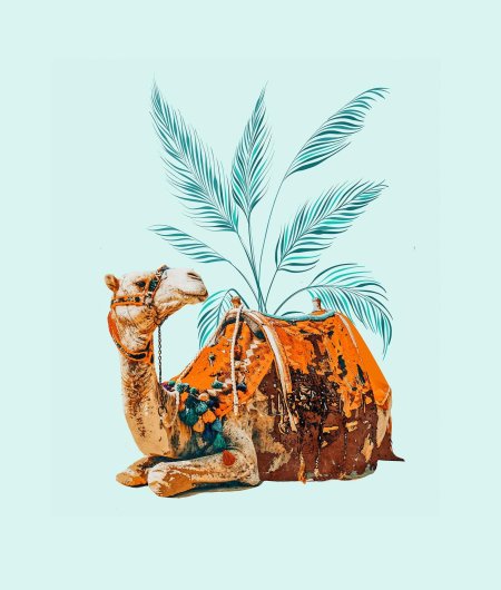 Стилизованный верблюд